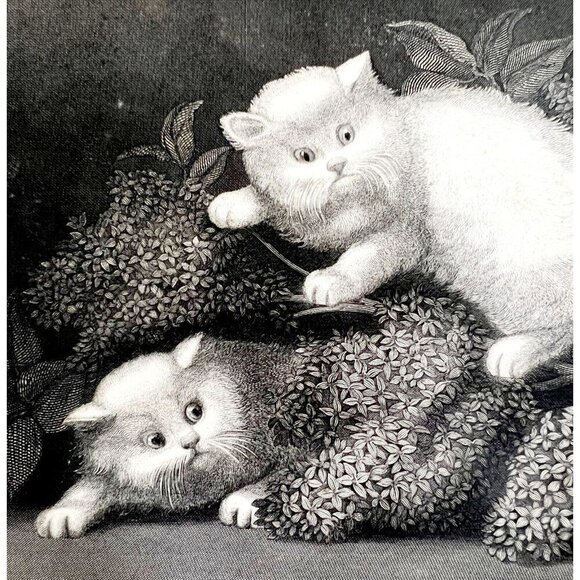 The Kittens Beautiful White Cats Steel Engraving 1859 Victorian Art DWY5D - Picture 1 of 2